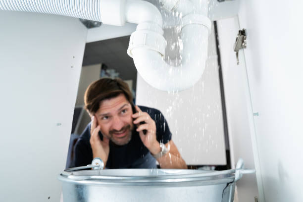 Best Plumbing Inspection Services  in El Jebel, CO